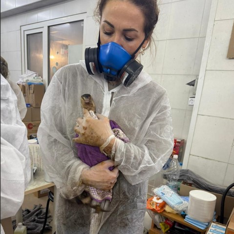 Помощь Чёрному морю — фото 3